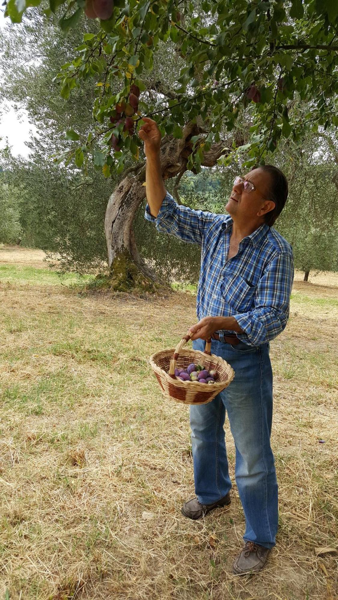 Montebello Degli Olivi Chiusi Dış mekan fotoğraf