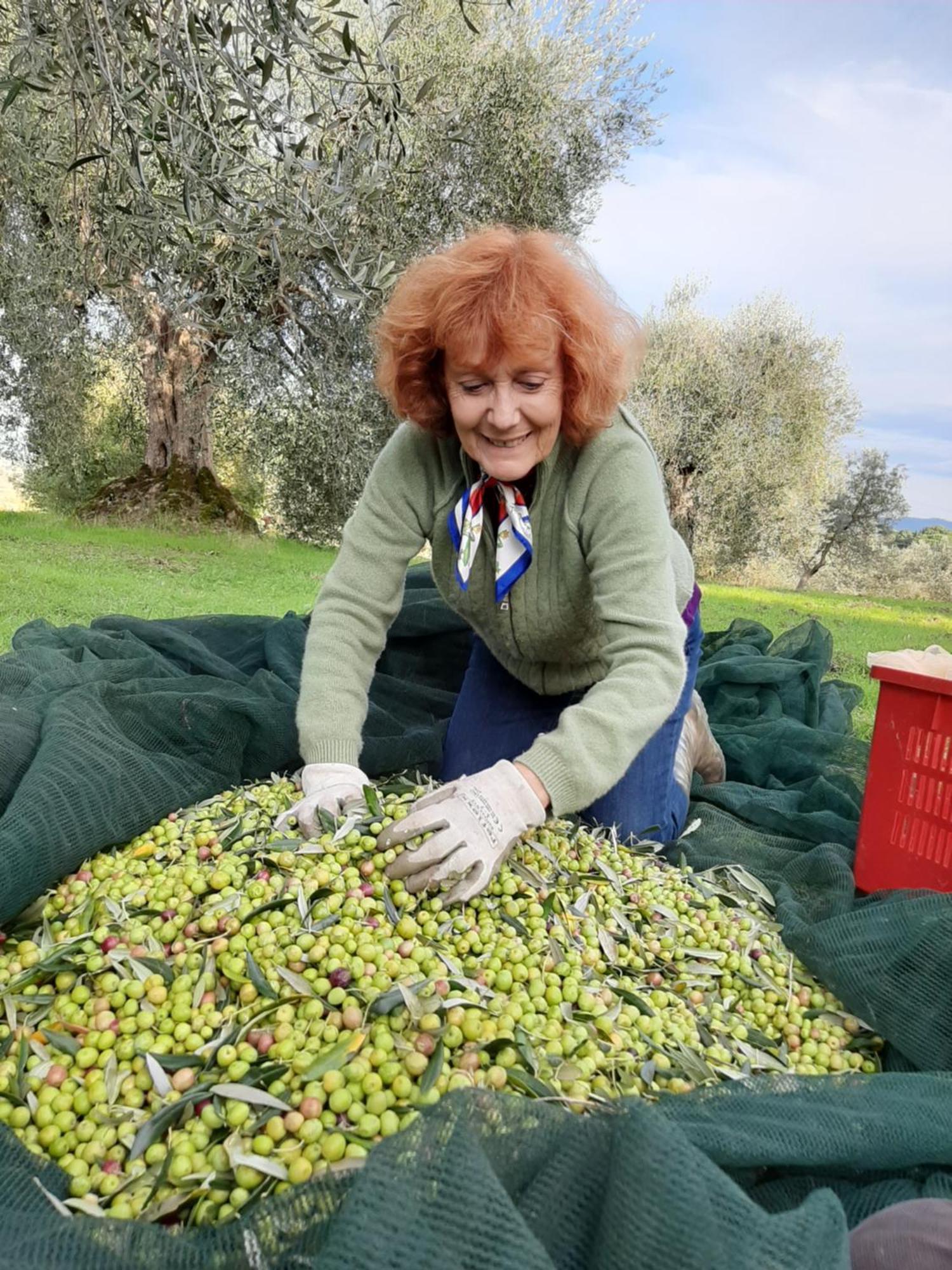Montebello Degli Olivi Chiusi Dış mekan fotoğraf