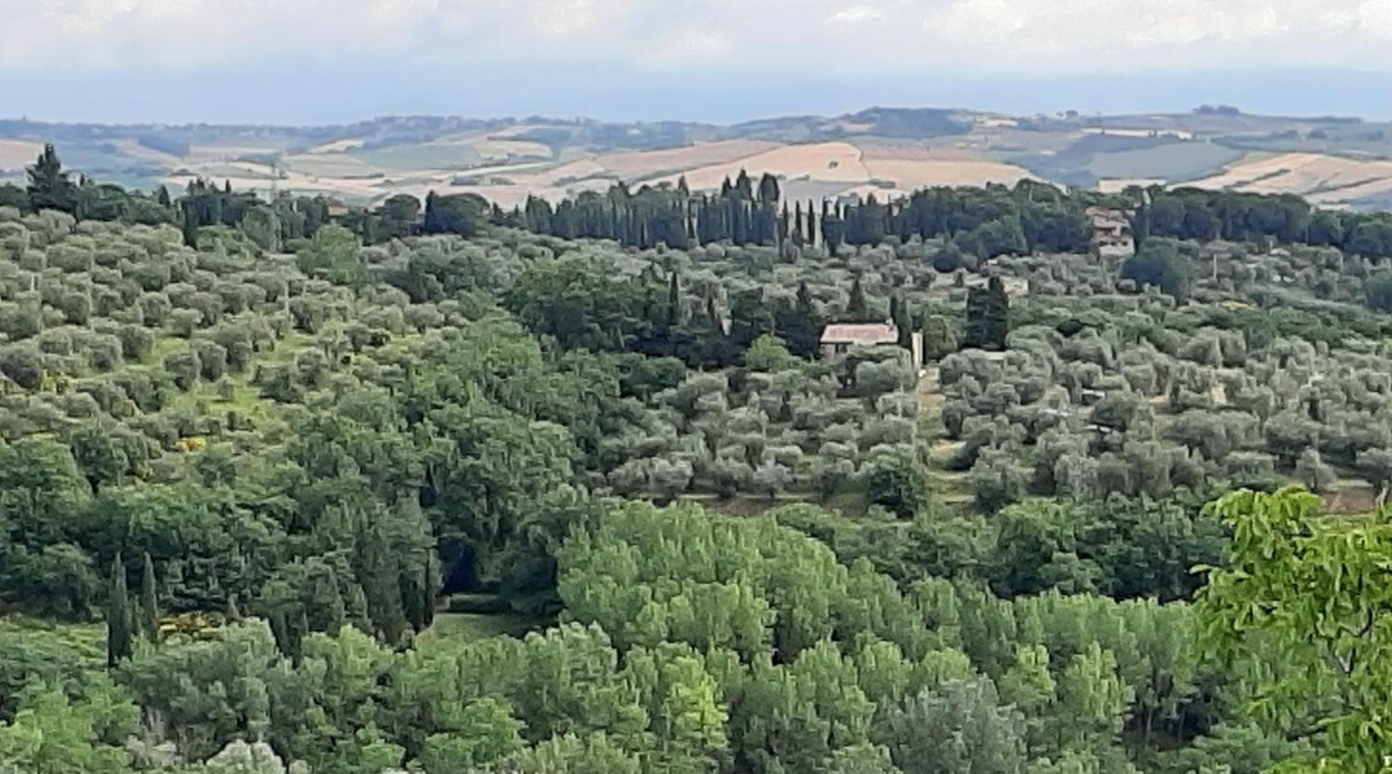 Montebello Degli Olivi Chiusi Dış mekan fotoğraf